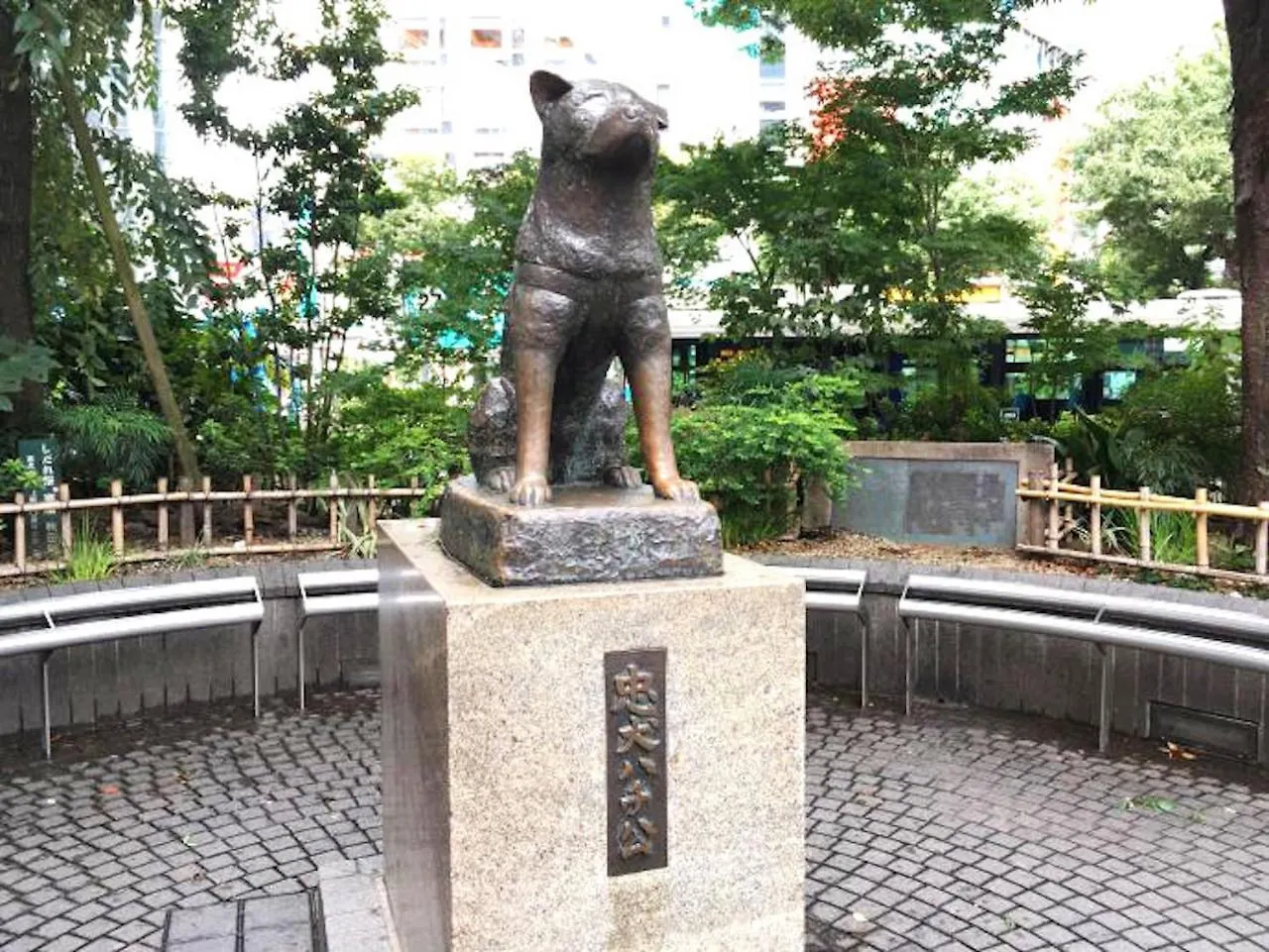 Shibuya Anon #A202 Apartment Tokyo